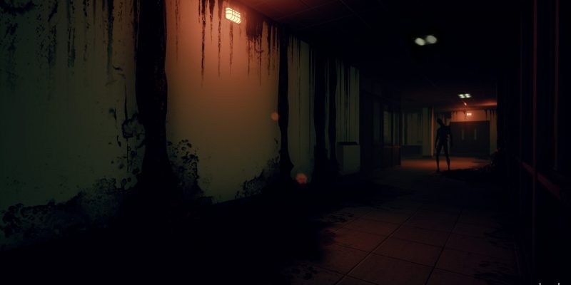 Husk - PC Game Screenshot