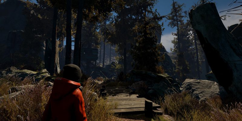 Through the Woods - PC Game Screenshot