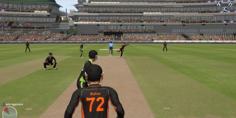 Ashes Cricket 2013 - PC Game Screenshot
